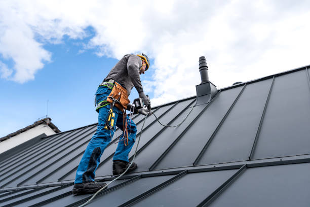 Roof Moss and Algae Removal in Wheat Ridge, CO